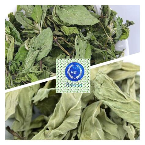 Jual Teh Daun Mint Kering 50gr Peppermint Dried Leaf Bo He Ye Po Ho Ye