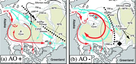 Schematic Circulation Of Summer Pacific Halocline Water Separated Into