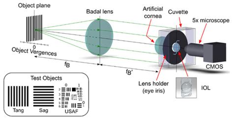 Jcm Special Issue Hot Topics In Presbyopia 2021