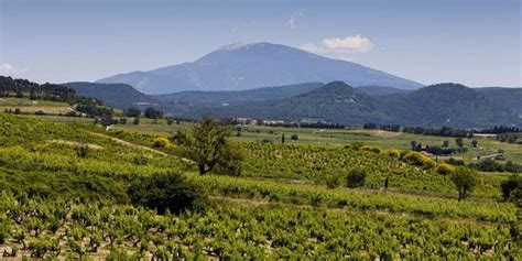 Domaine De Longue Toque Gigondas Vins Biologiques