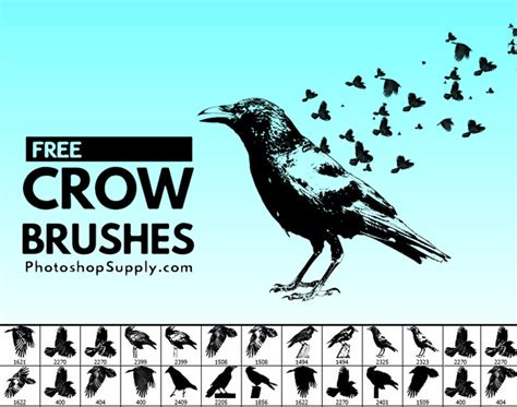 Birds Photoshop Brushes : r/graphic_art