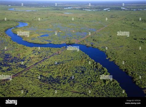 Pantanal in the rainy season, Brazil Stock Photo - Alamy