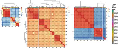 Average Nucleotide Identity Ani In Sequenced Samples Heatmaps