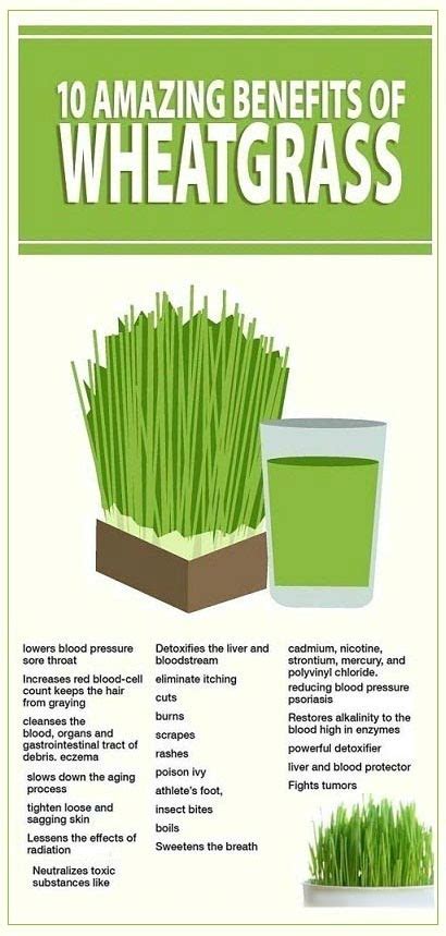 10 Amazing Benefits Of Wheatgrass