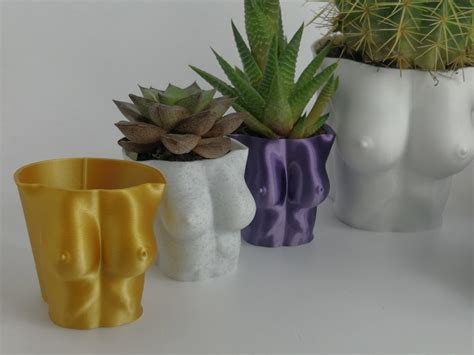 Woman Boob Planter Boobs Plant Pot Boobies Pot Nude Etsy