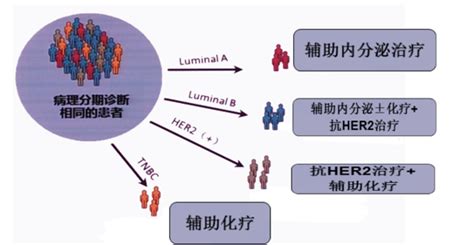 乳腺癌分子分型知多少？