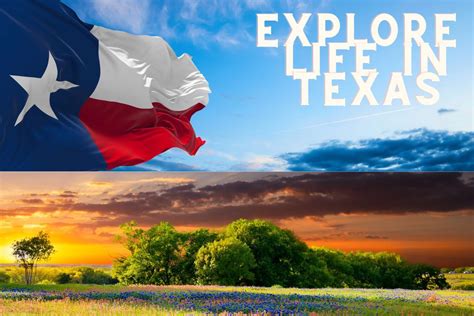 | Explore Life in Texas | Texini