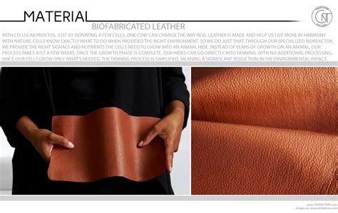 biofabricated leather