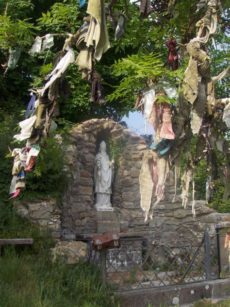 Centuries Beneath The Rag Tree Discover How The Irish Fairy Tree