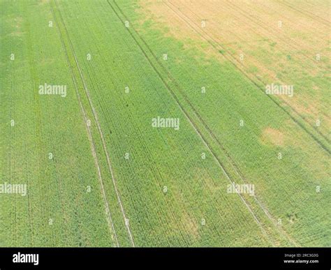 Bandes Verticales De Parcelles Agricoles De Diff Rentes Cultures Vue