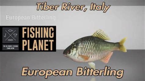 Fishing Planet European Bitterling Tiber River Italy Youtube