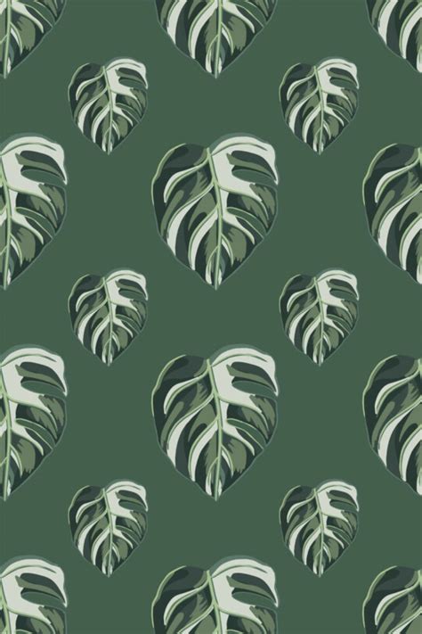 Monstera leaf Wallpaper - Peel and Stick or Non-Pasted