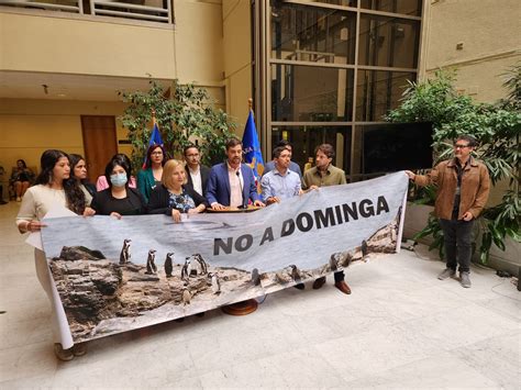 Diputado Manouchehri Ps Y Rechazo A Dominga Triunf La Raz N Por