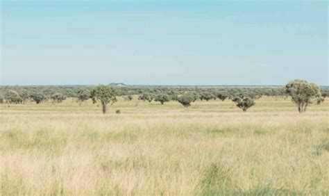 Iconic Leander Protected By An Exclusion Fence Australian Country Life