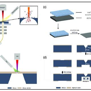 Typical applications of nanopore sensors: a nanopore device for (a ...