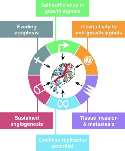 Year Gastrointestinal Block Lecture Development Of Neoplasia In