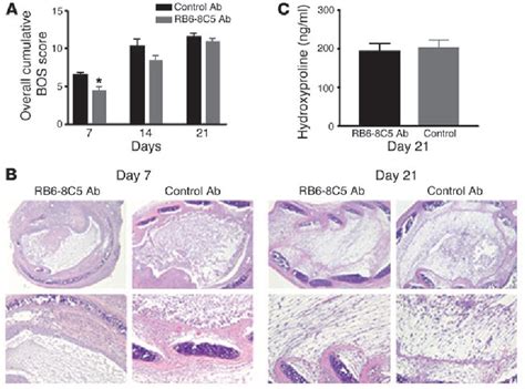 Figure From Role Of Cxcr Cxcr Ligands In Vascular Remodeling