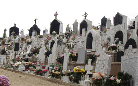 Cemitério da Lapa Compre Coroa de Flores Online