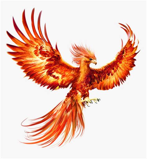 Phoenix Bird Hd Png Download Kindpng