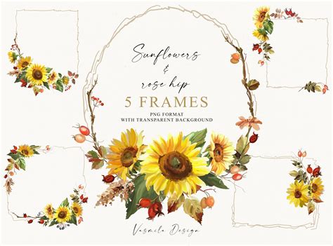 Sunflowers And Rose Hip PNG Frames Graphic By Vasmila Design Creative