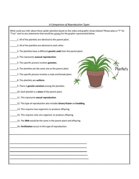 Sexual Vs Asexual Exercise Worksheet Live Worksheets