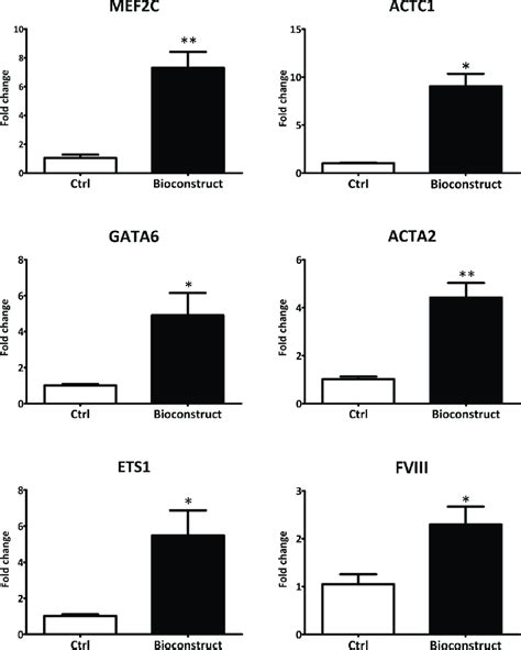 Gene expression analysis of cardiac cell markers in hCPCs culterd on ... 