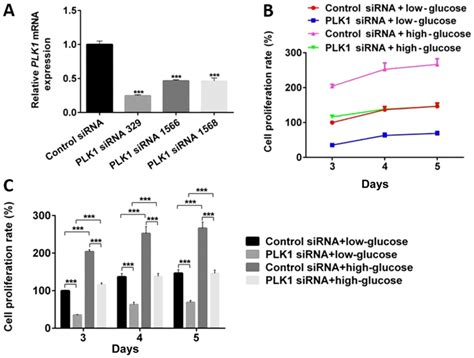 Phosphoregulation of Cdc14A by pololike kinase 1 is involved in β