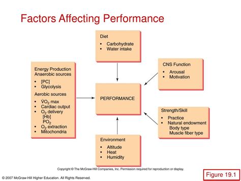 Factors Affecting Employee Performance