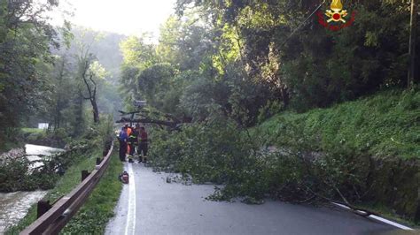 Refrontolo Torna La Paura Nuova Frana Alberi Sulla Strada