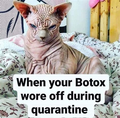 Laugh Humor Funnymemes Socialdistancing Botox Funny Botox Botox