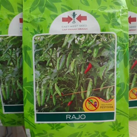 Jual Benih Cabai Cabe Rawit Rajo Butir Cabe Rajo Cap Panah Merah