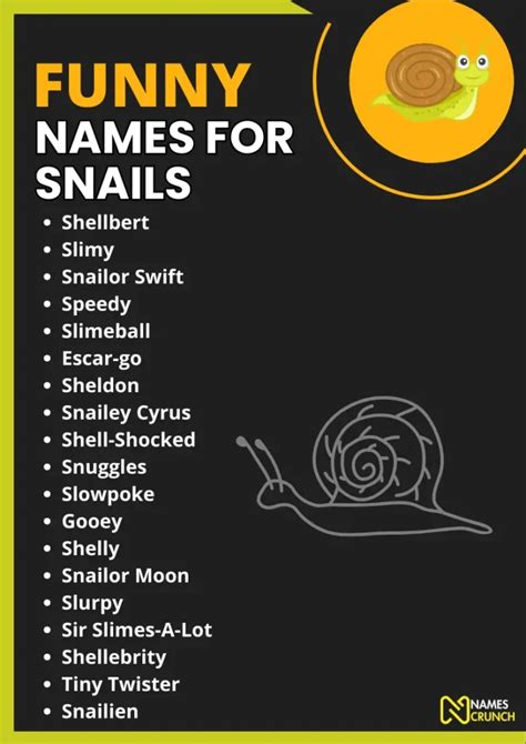 290 Funny Names For Snails Names Crunch