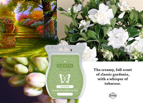 Lush Gardenia Scentsy Springsummer 2019 Scentsy Scentsy Fragrance Scentsy Bars