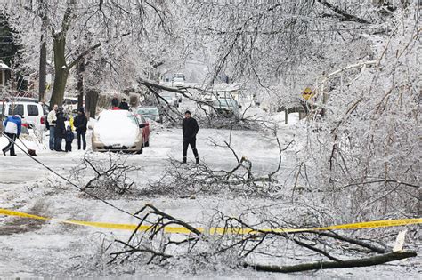 Ice storm may benefit trees - Landscape Ontario