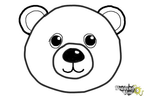 How to Draw a Bear Face - DrawingNow