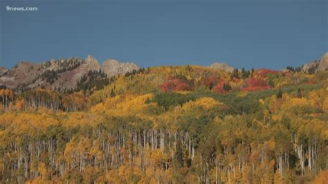 Colorado fall colors guide: Where and when to see the best fall foliage ...