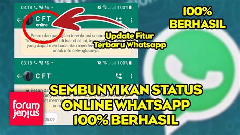 Cara Sembunyikan Status Online Whatsapp Work Tanpa Aplikasi