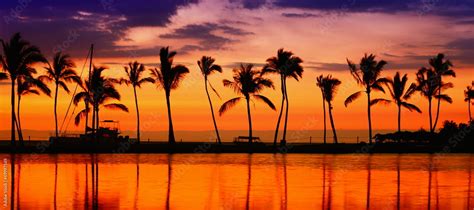 Travel banner - Beach paradise sunset palm trees Stock Photo | Adobe Stock