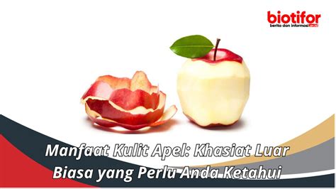 Manfaat Kulit Apel Khasiat Luar Biasa Yang Perlu Anda Ketahui Biotifor