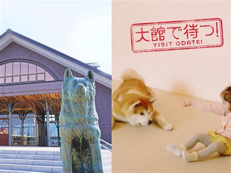 akita dog japan train station  lori chambers blog