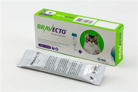 Bravecto® 500 Mg Solution Pour Spot On Pour Chats De Grande Taille 6