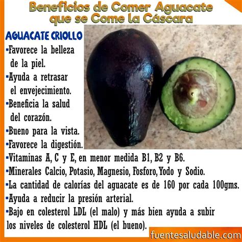 Beneficios de Comer Aguacate que se Come la Cáscara Aguacate Criollo