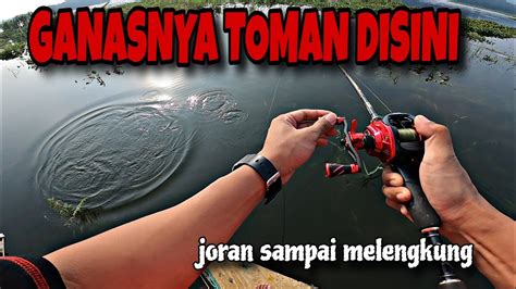 Heran Pemancing Mana Yg Ga Ngiler Mancing Disini Ga Ada Habisnya