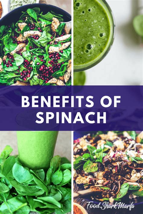 The 6 Superb Health Benefits of Spinach - Food Shark Marfa