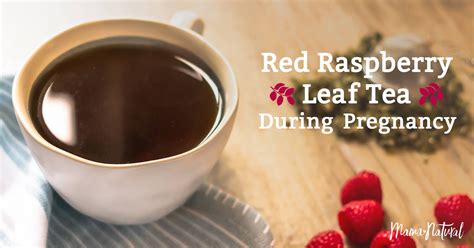 red raspberry leaf tea - red raspberry leaf teared raspberry leaf tea