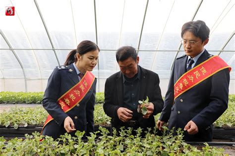 税惠千万家 共建现代化 衡水市正式启动第32个税收宣传月澎湃号·媒体澎湃新闻 The Paper