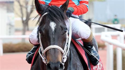 【注目馬動向】ディープボンドが凱旋門賞に登録 大久保調教師「秋の選択肢のひとつです」 スポーツ報知 Lifeeeニュース