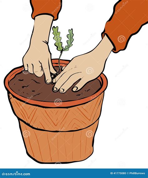 Planting stock vector. Illustration of ecology, slow - 41775080