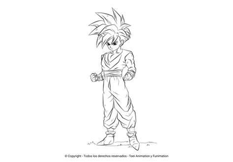 Los Mejores Dibujos De Gohan Para Colorear Todo Para Colorear