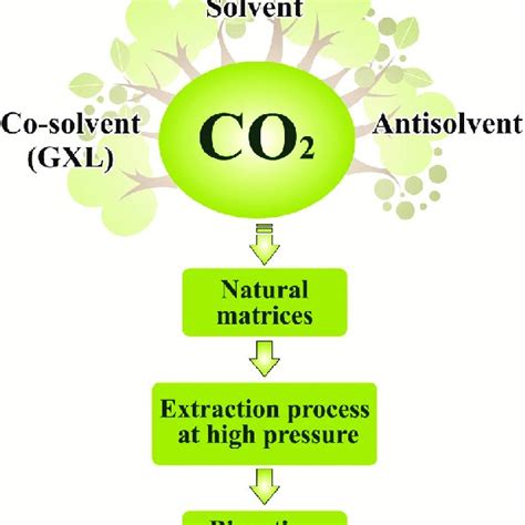 Pressure-density (P-r) phase diagram for carbon dioxide. CP = critical ...